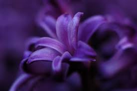 Preventing Alzheimer’s Disease: What Do We Know?