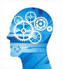 Take a Tour of Your Brain